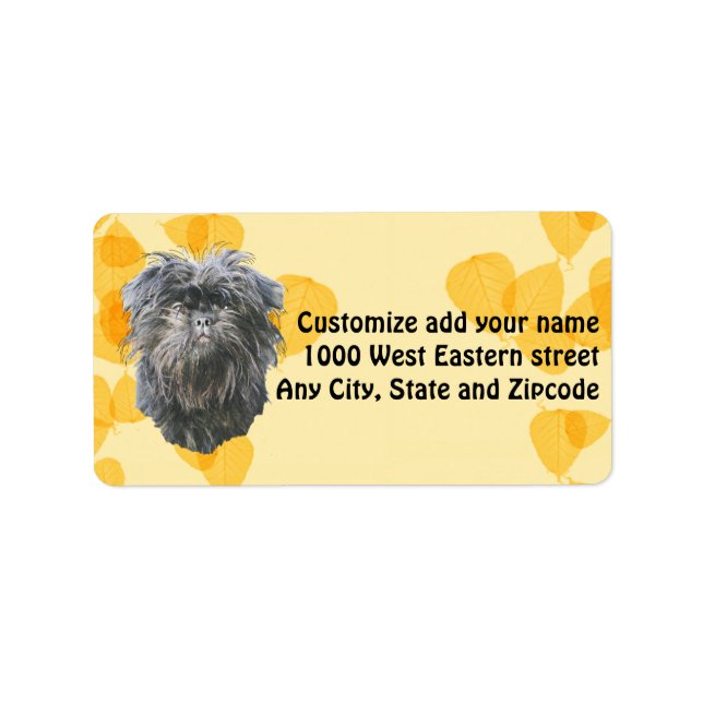 Étiquette Affenpinscher sur les Feuilles d'or (Devant)