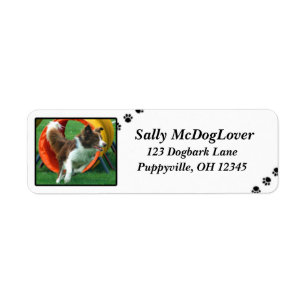 Étiquette Agilité Brown de border collie