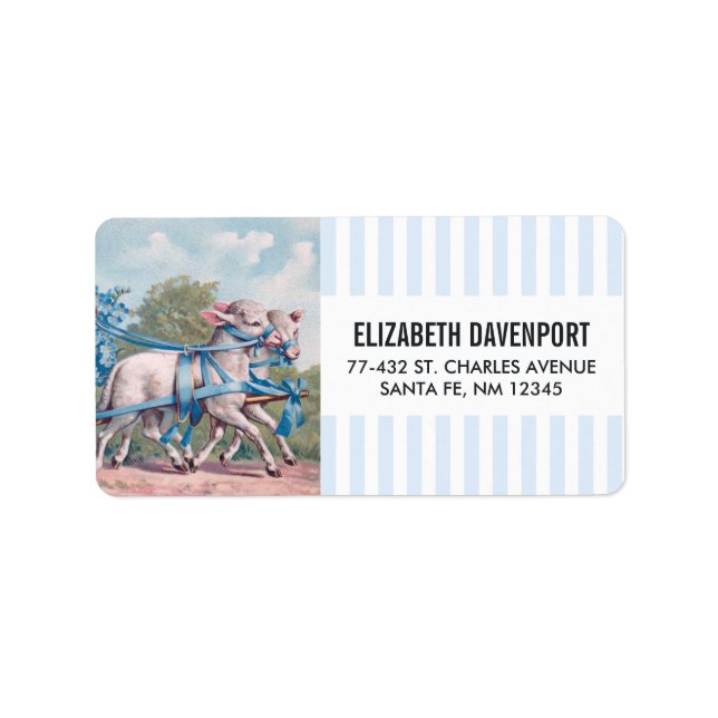 Étiquette Agneaux vintages habillés de rubans bleus fantaisi (Devant)