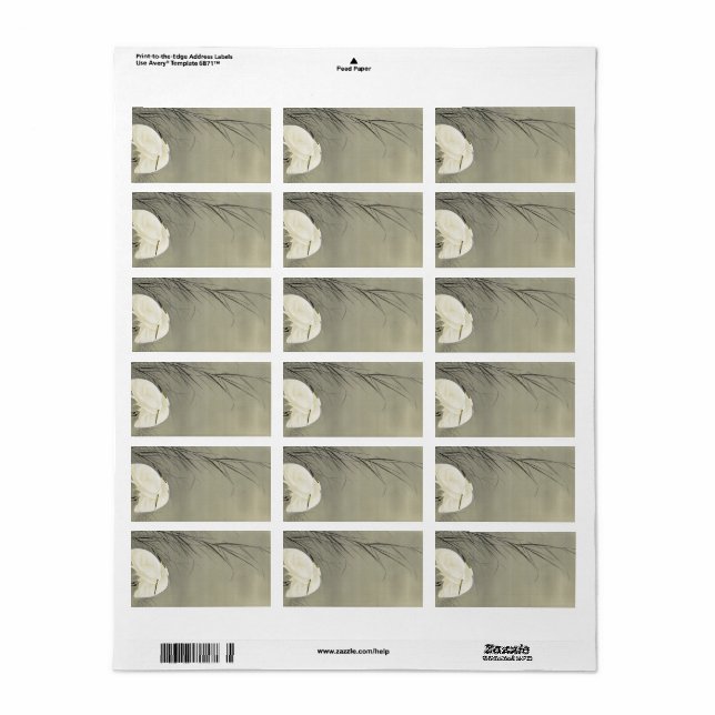 Étiquette Aiguilles dans le marais par Ohara Koson (Feuille entière)