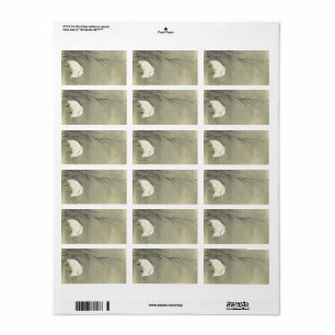 Étiquette Aiguilles dans le marais par Ohara Koson