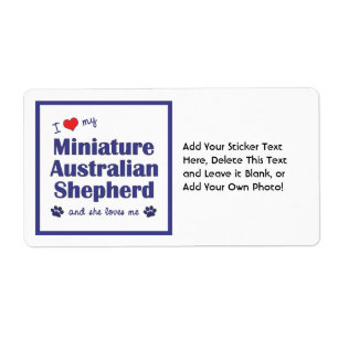 Étiquette Aimez mon berger australien miniature (le chien