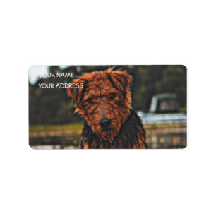 Étiquette Airedale en jeu - plus grand