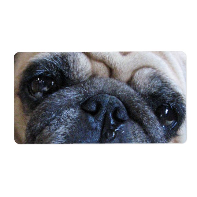 Étiquette Allez-y Bientôt Sick Carlin Chien (Devant)