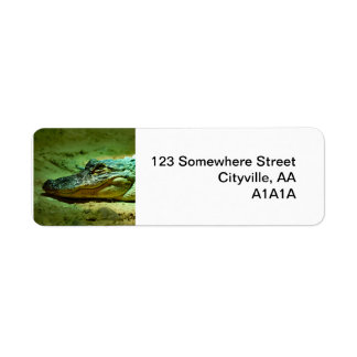 Étiquette Alligator