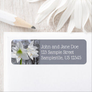Étiquette Amaryllis blanc et neige I