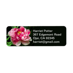 Étiquette Amende blanche rose d'aquarelle de pivoine florale