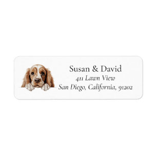 Étiquette American Cocker Spaniel Chien