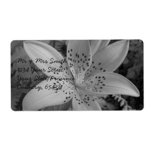 Étiquette American Tiger Lily