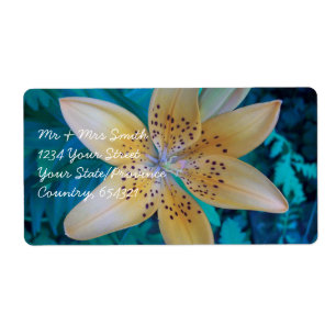 Étiquette American Tiger Lily