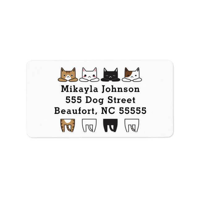 Étiquette Amusant cadre multicolore (Devant)