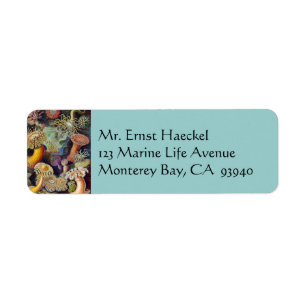 Étiquette Anémones de mer sous-marines vintage par Ernst Hae