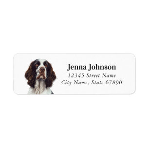 Étiquette Anglais Springer Spaniel Retourner l'adresse Étiqu