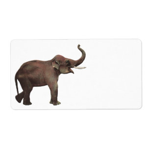 Étiquette Animaux sauvages vintages, éléphants asiatiques de