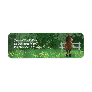 Étiquette Appaloosa Peint Pony