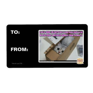 Étiquette Appel 1-800-LOLCATS