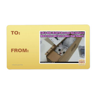 Étiquette Appelez 1-800-LOLCATS