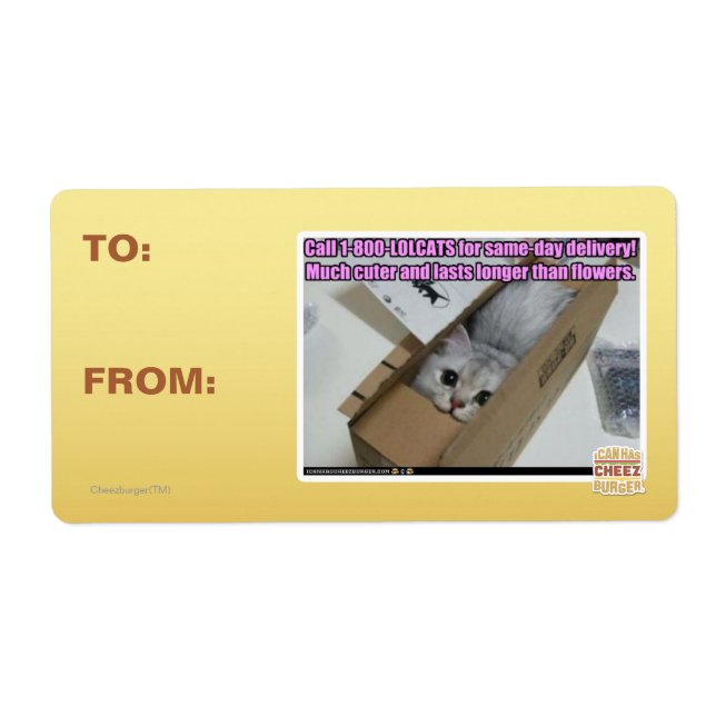 Étiquette Appelez 1-800-LOLCATS (Devant)
