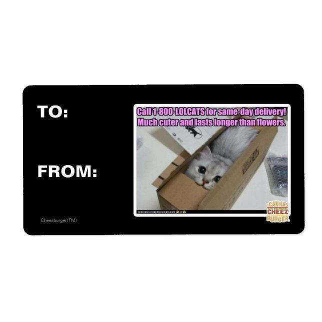 Étiquette Appelez 1-800-LOLCATS (Devant)