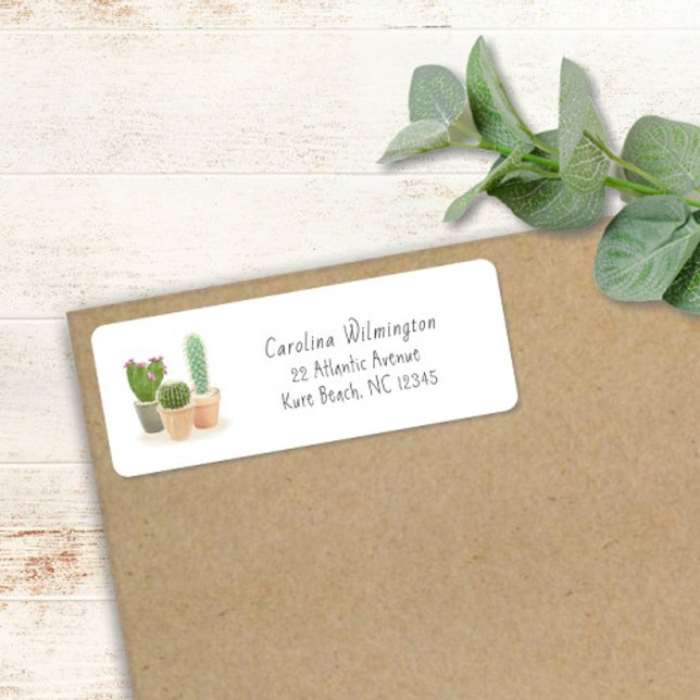 Étiquette Aquarelle Cactus Pots de fleurs Succulents floraux (Créateur téléchargé)