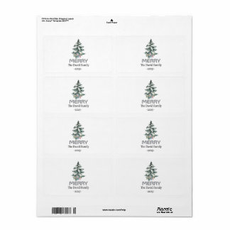 Étiquette Arbre botanique du pin blanc de neige