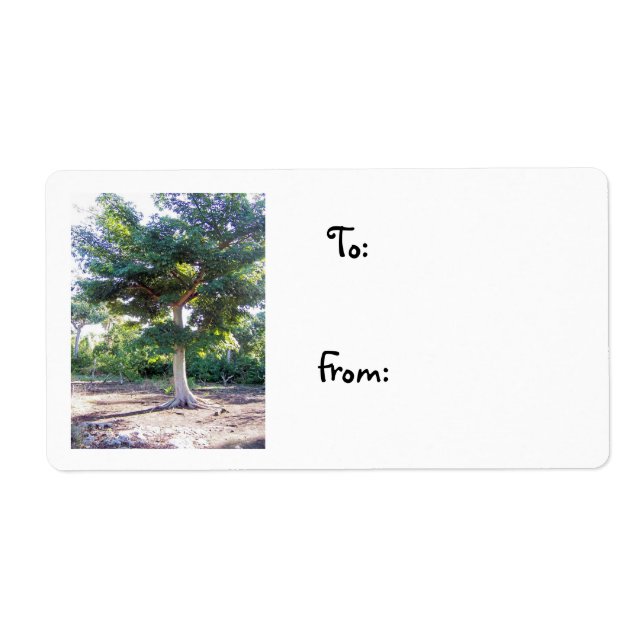 Étiquette Arbre de la Sagesse-étiquette de noël (Devant)