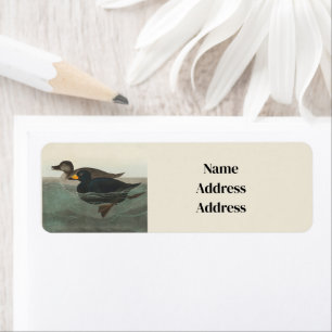 Étiquette Audubon American Scoter Duck Classic