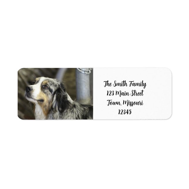 Étiquette Aussie (Devant)