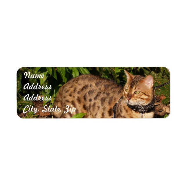 Étiquette Autocollant d'adresse de retour de chat Savannah (Devant)