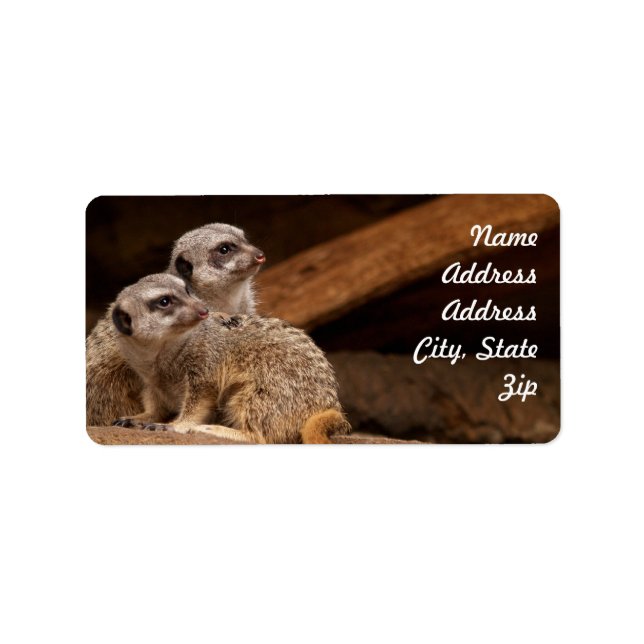 Étiquette Autocollant d'adresse de suricate (Devant)