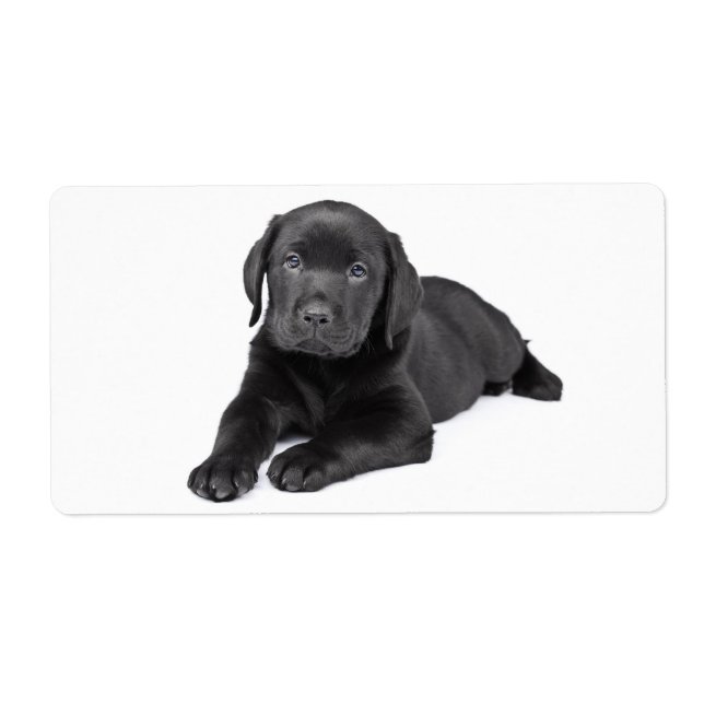 Étiquette Autocollant pour chien de marionnette Black Labrad (Devant)