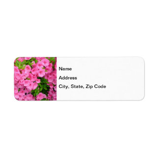 Étiquette Azalea Bush