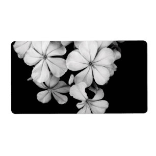Étiquette b&w carte postale