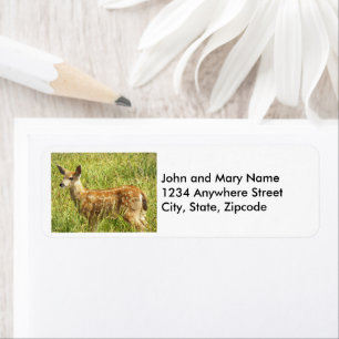 Étiquette Baby Deer Fawn Nature Photo Retour Adresse