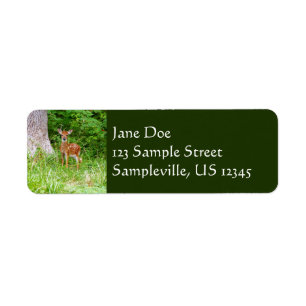 Étiquette Baby Deer in the Woods Nature Photography