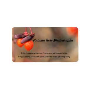 Étiquette baies d'orange