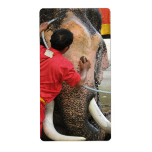 Étiquette Bain Eléphant ... Ayutthaya, Thaïlande