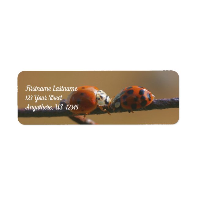 Étiquette Baiser Ladybugs Sur Une Clôture De Fil Adresse Nat (Devant)