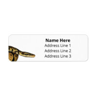 Ball Python Pet Snake Adresse de retour