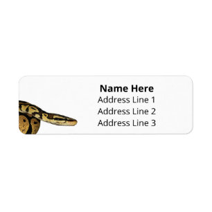 Étiquette Ball Python Pet Snake Adresse de retour