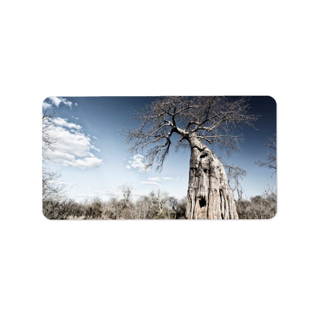 Étiquette Baobab dans le parc national des piscines de Mana, (Devant)