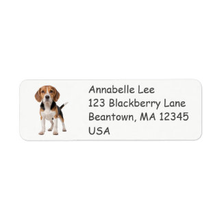 Étiquette Beagle