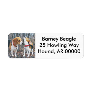 Étiquette Beagles dans les bois