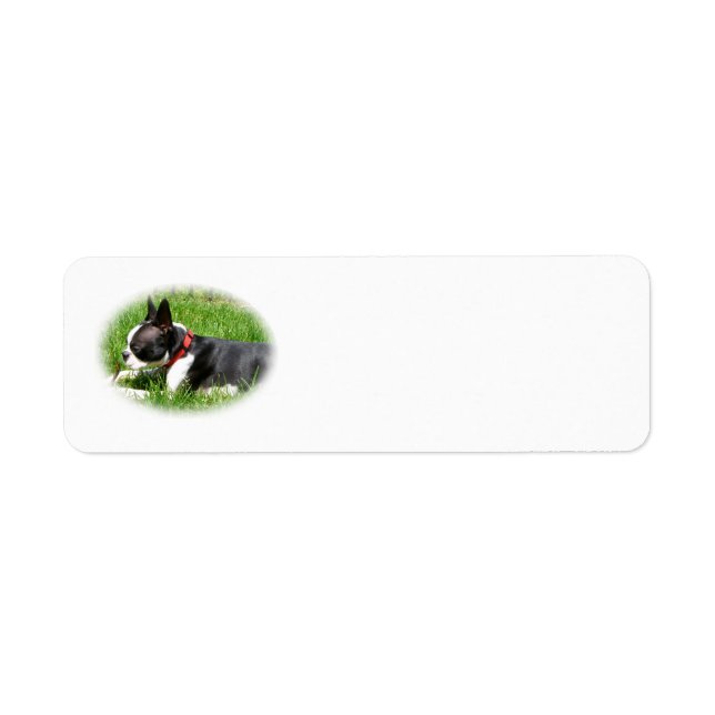 Étiquette Beau chien de Boston Terrier sur l'herbe avec bâto (Devant)