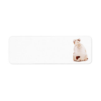 Étiquette Beau chien drôle blanc Bulldog