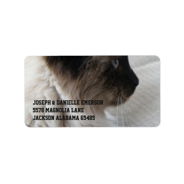 Étiquette Beau Siamese Kitty (Devant)