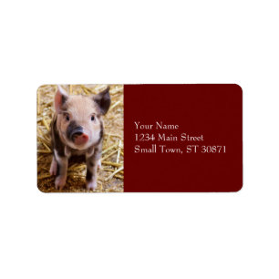 Étiquette Bébé mignon Animaux de la ferme des porcs Barnyard