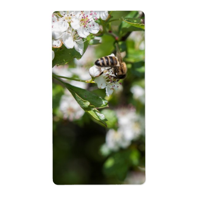 Étiquette Bee collects pollen (Devant)