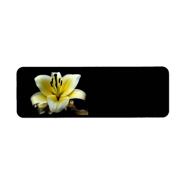 Étiquette Belle Fleur Jaune Élégante sur Fond Noir (Devant)