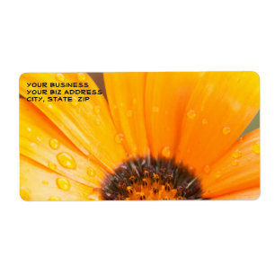 Étiquette Belle Orange Daisy Demi-Gros plan Photo